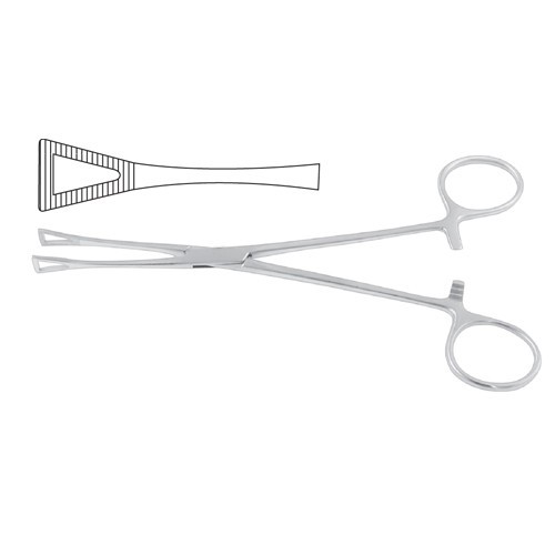 Pennington Organ Grasping Forcep 15.5 cm