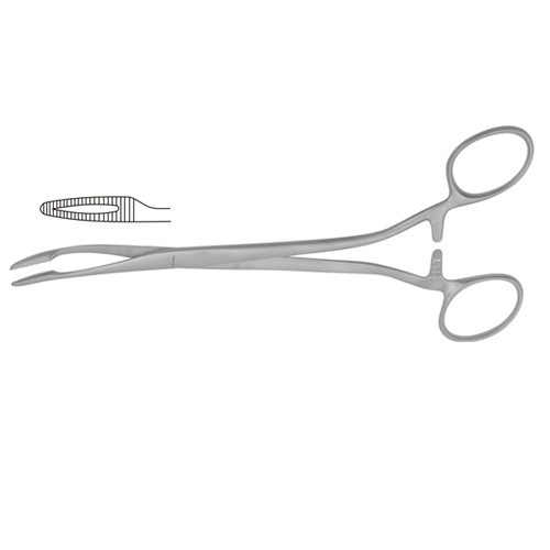 Duplay Sponge Holding Forcep Curved 21 cm