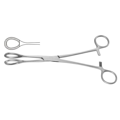 Heywood-Smith Sponge Holding Forcep Straight 21 cm