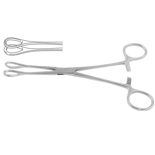 Foerster Sponge Holding Forcep Straight – Smoth Jaw 25 cm