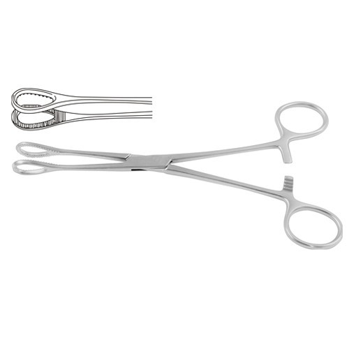 Foerster Sponge Holding Forcep Straight 18 cm