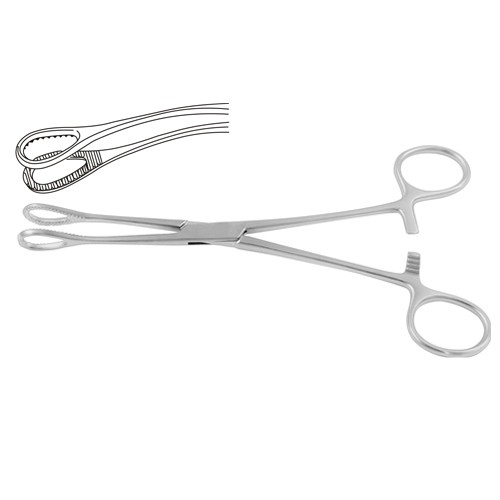 Foerster Sponge Holding Forcep Curved 20 cm