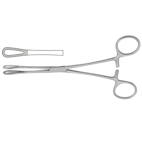 Rampley Sponge Holding Forcep Straight 18.5 cm