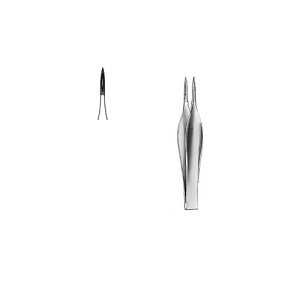 Splinter Forceps 11.5cm