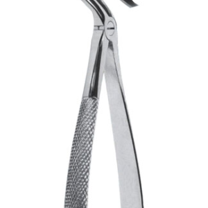 Extracting Forceps – English Pattern