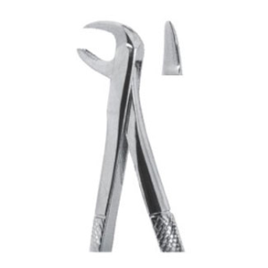 Extracting Forceps – English Pattern