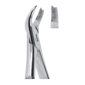 Extracting Forceps – English Pattern