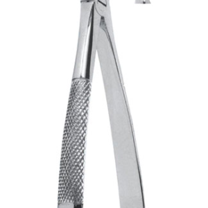 Extracting Forceps – English Pattern