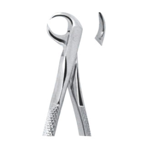 Extracting Forceps – English Pattern