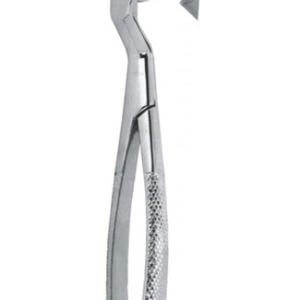 Extracting Forceps – English Pattern