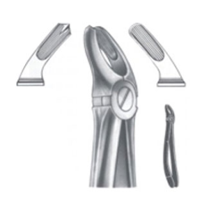 Extracting Forceps – English Pattern