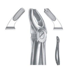 Extracting Forceps – English Pattern