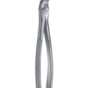 Extracting Forceps – English Pattern