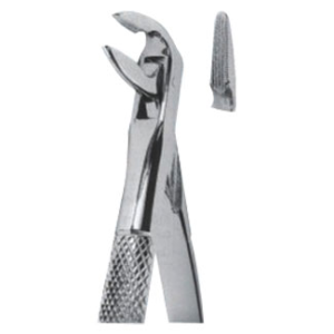 Extracting Forceps – English Pattern