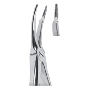 Extracting Forceps – English Pattern