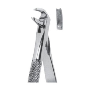 Extracting Forceps – English Pattern