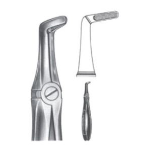 Extracting Forceps – English Pattern