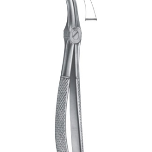 Extracting Forceps – English Pattern