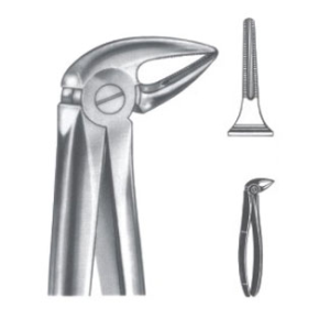 Extracting Forceps – English Pattern