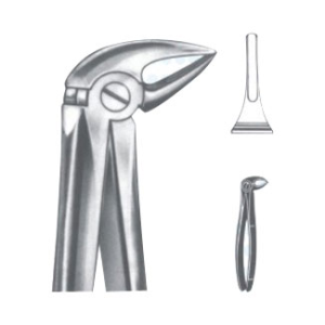 Extracting Forceps – English Pattern