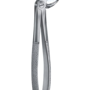 Extracting Forceps – English Pattern