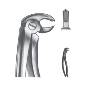 Extracting Forceps – English Pattern