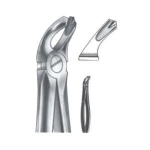 Extracting Forceps – English Pattern