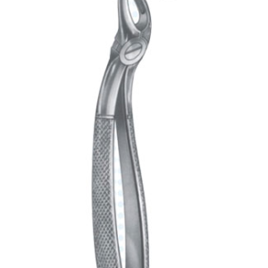 Extracting Forceps – English Pattern