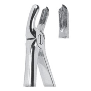 Extracting Forceps – English Pattern