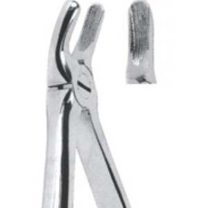 Extracting Forceps – English Pattern