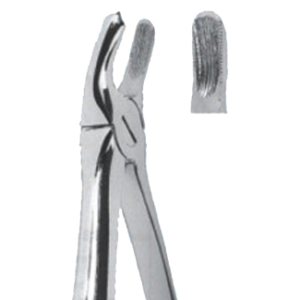 Extracting Forceps – English Pattern