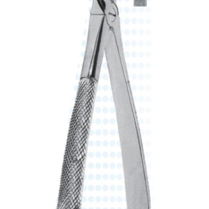 Extracting Forceps – English Pattern