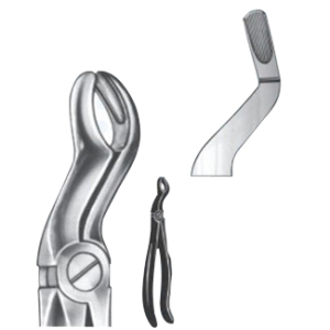 Extracting Forceps – English Pattern