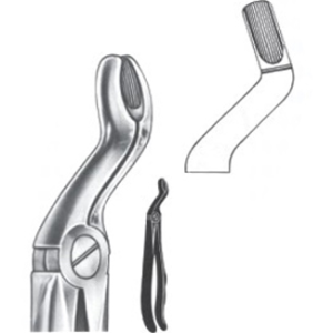 Extracting Forceps – English Pattern