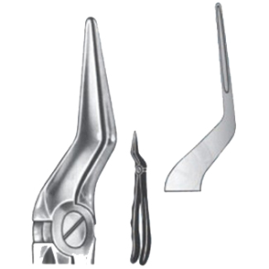 Extracting Forceps – English Pattern