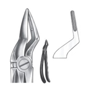 Extracting Forceps – English Pattern