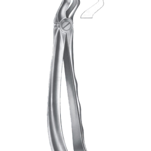 Extracting Forceps – English Pattern