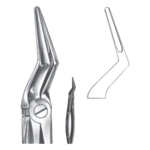 Extracting Forceps – English Pattern