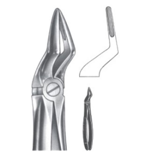 Extracting Forceps – English Pattern