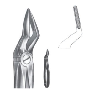 Extracting Forceps – English Pattern