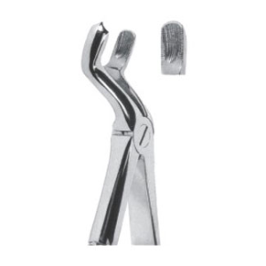 Extracting Forceps – English Pattern