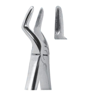 Extracting Forceps – English Pattern