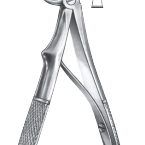 Extracting Forceps – English Pattern