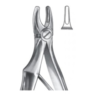 Extracting Forceps – English Pattern