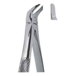 Extracting Forceps – English Pattern