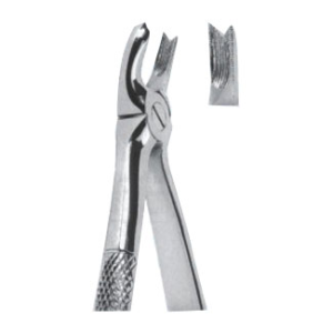 Extracting Forceps – English Pattern