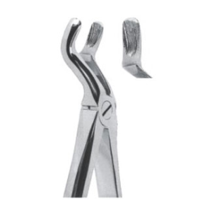 Extracting Forceps – English Pattern