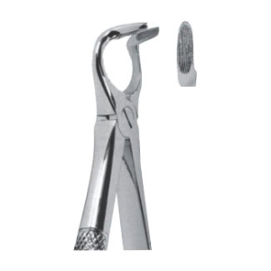 Extracting Forceps – English Pattern