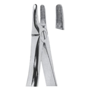 Extracting Forceps – English Pattern