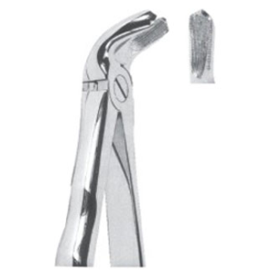 Extracting Forceps – English Pattern